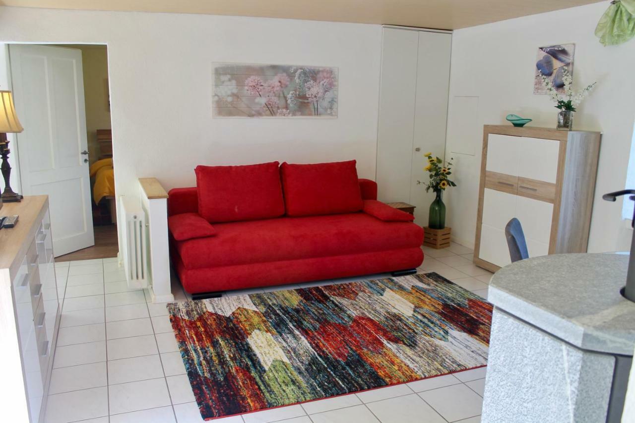 Casa Ortensia Apartment Gambarogno Екстериор снимка