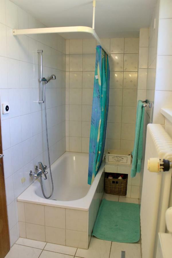 Casa Ortensia Apartment Gambarogno Екстериор снимка