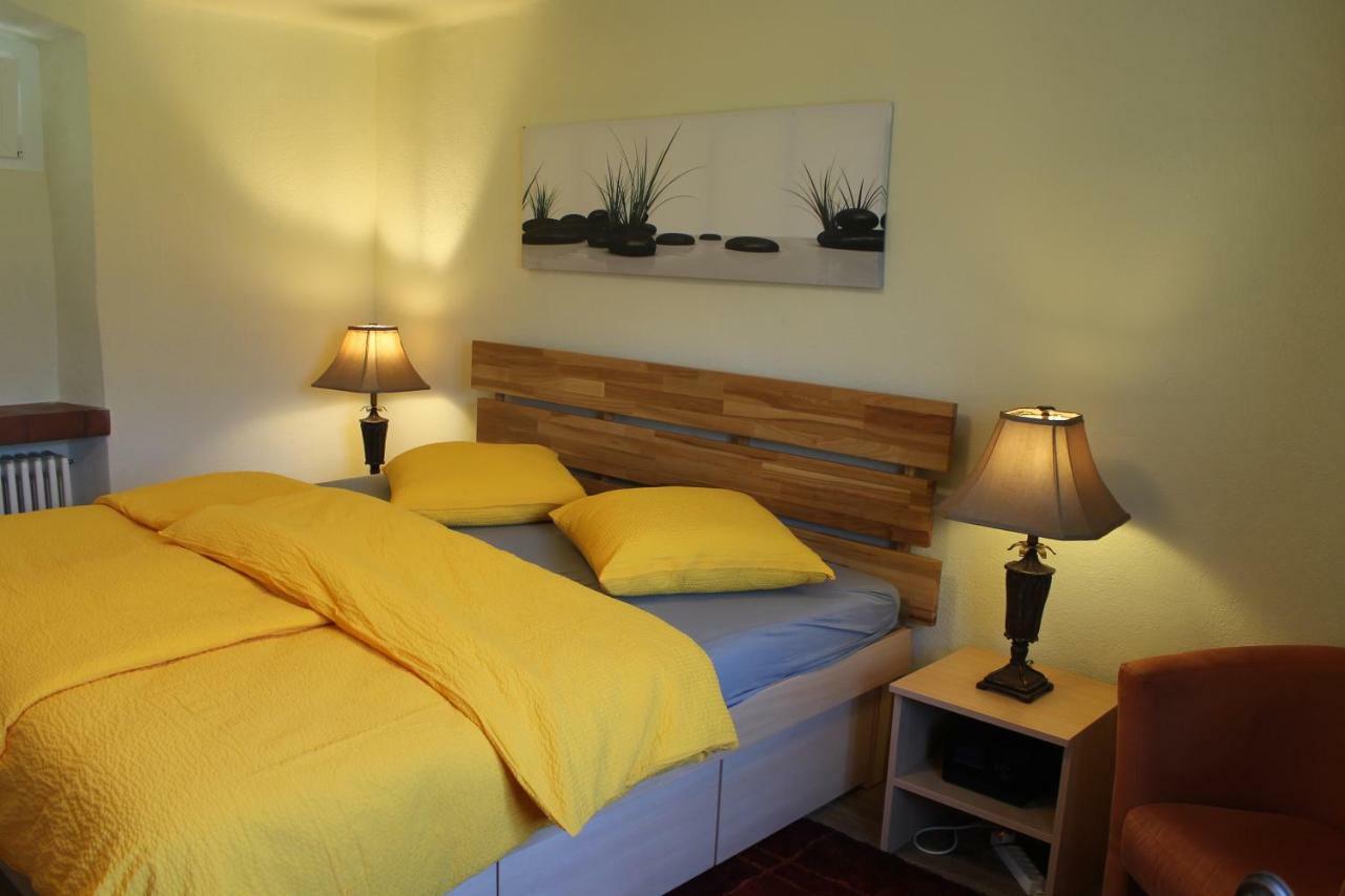 Casa Ortensia Apartment Gambarogno Екстериор снимка