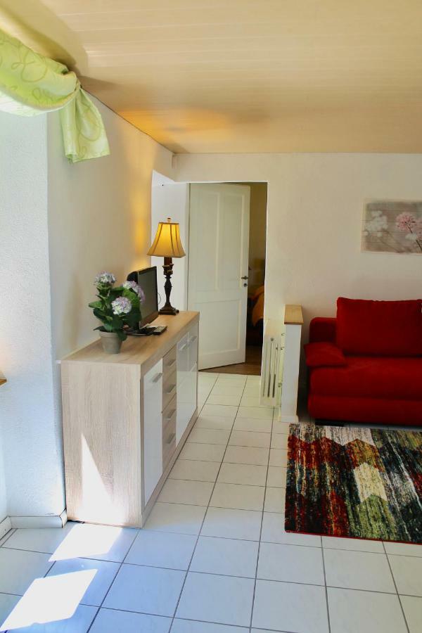 Casa Ortensia Apartment Gambarogno Екстериор снимка
